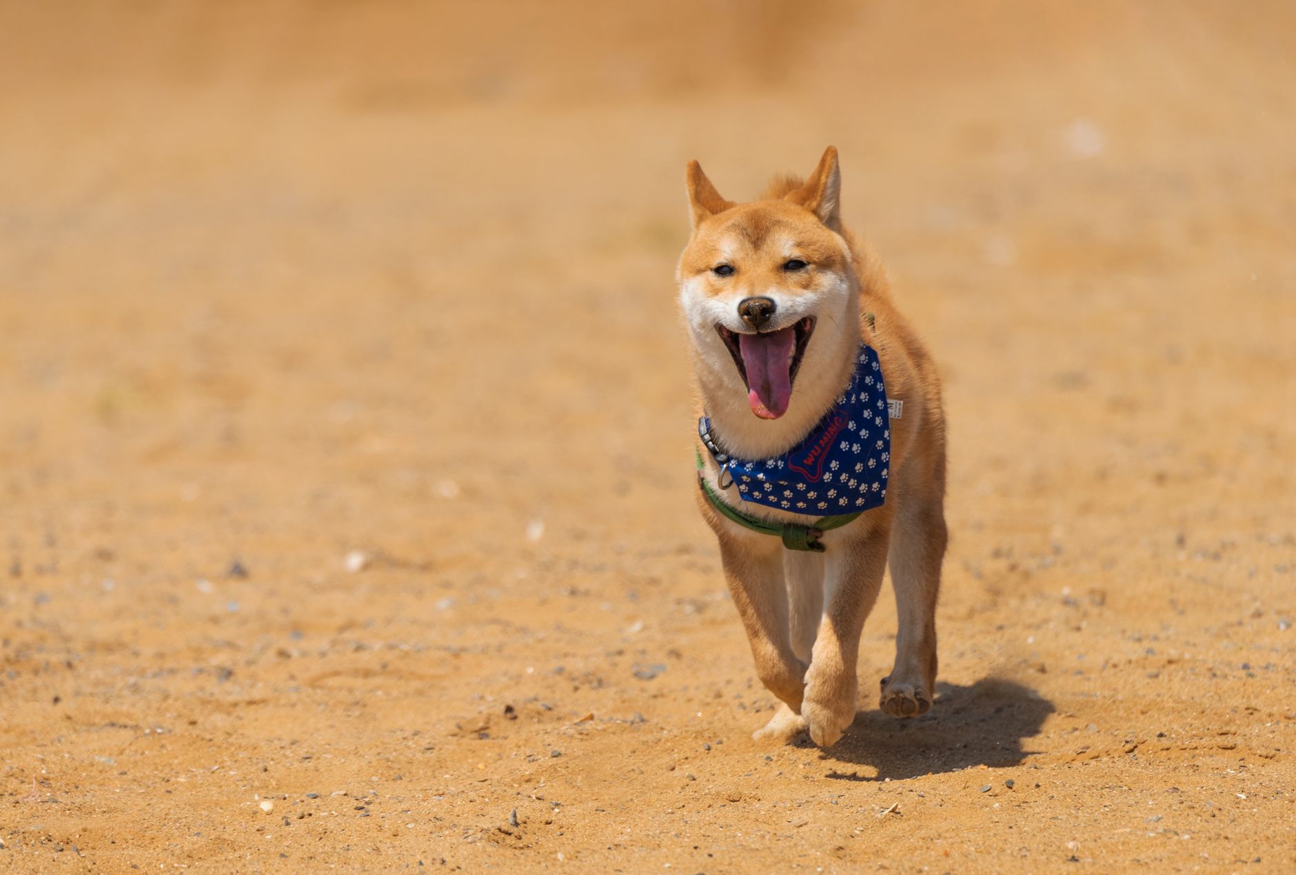 引きずらずに歩き出すための実践